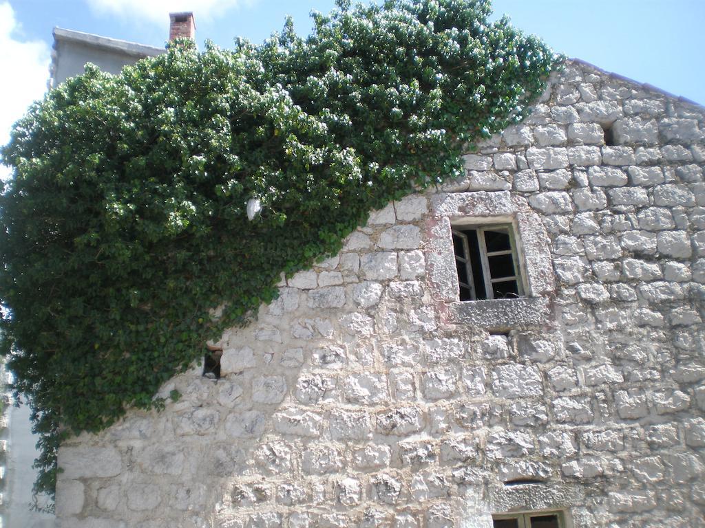 Villa Lidija Budva Room photo